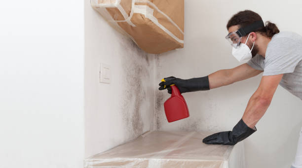 Professional Attic Mold Remediation technician working in Syosset, NY